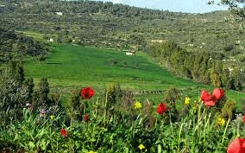 الاثنين.. ارتفاع آخر على درجات الحرارة