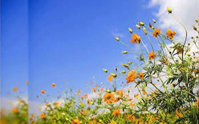 السبت.. ارتفاع على الحرارة وتميل الأجواء