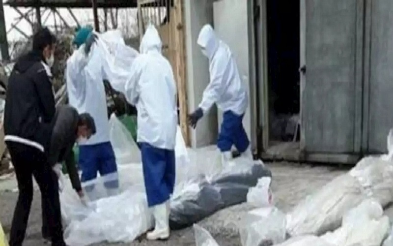 الصحة البريطانية: تسجيل 596 وفاة جديدة