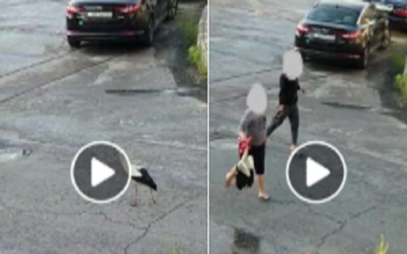 ضبط شخصين تم نشر مقطع فيديو