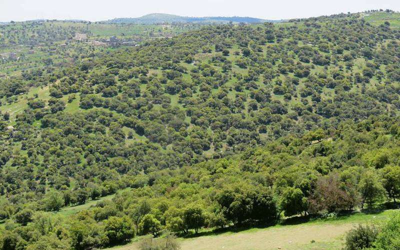 الثلاثاء.. طقس ربيعي لطيف نهارا وبارد