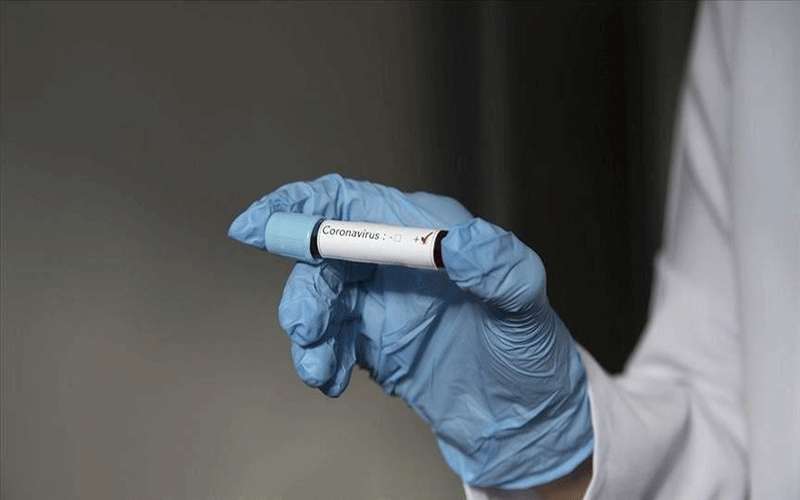 تسجيل 4 إصابات بالكورونا في البويضة