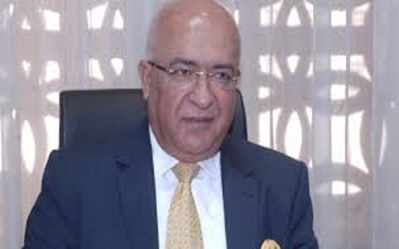 المعايطة: قرار اجراء الانتخابات بيد الملك