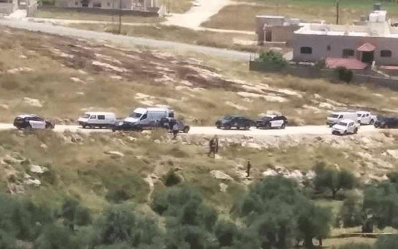 جثة معلقة على شجرة بإربد