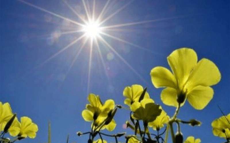 طقس صيفي اعتيادي نهاية الأسبوع والحرارة