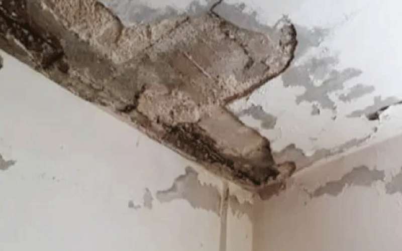 الغور الشمالي: تبخر أحلام عشرات العائلات