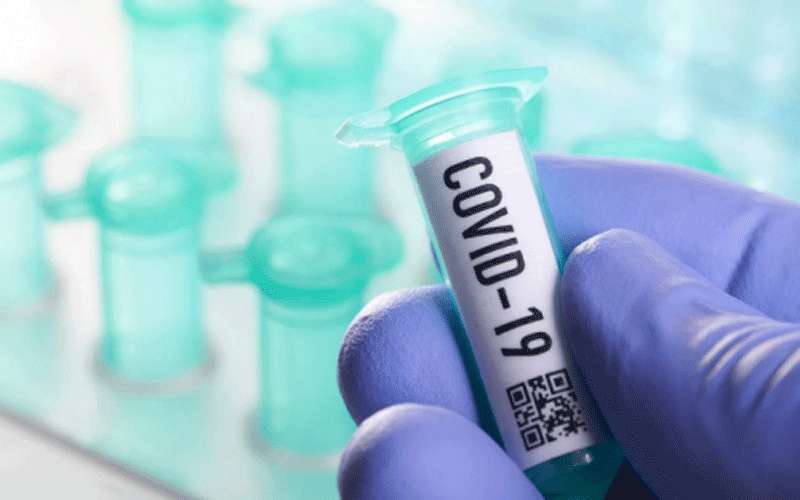 الرمثا: ترقب نتائج 103 عينات لمخالطي