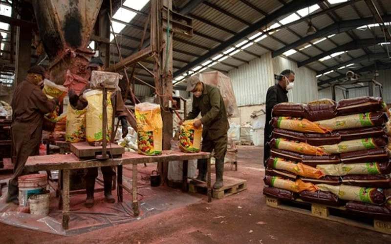 الأردن ينتج 375 ألف طن سنويا