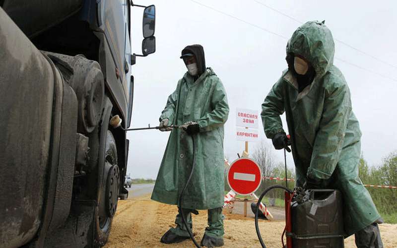 فرض الحجر الصحي بسبب طاعون الخنازير