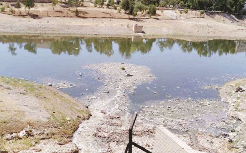 عدم ممانعة للتقييم الفني الأولي لمشروع