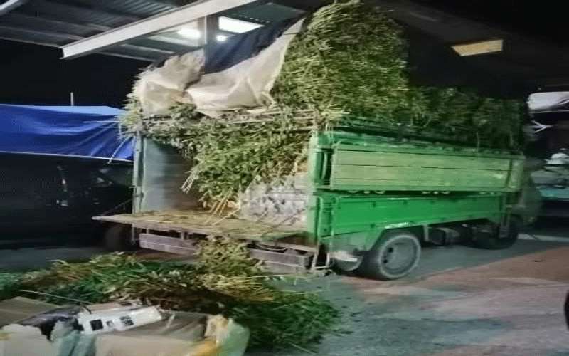 الأردن .. ضبط محاولة تهريب بضائع