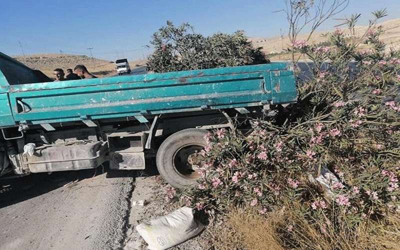 إصابة بالغة بتدهور مركبة في الزرقاء