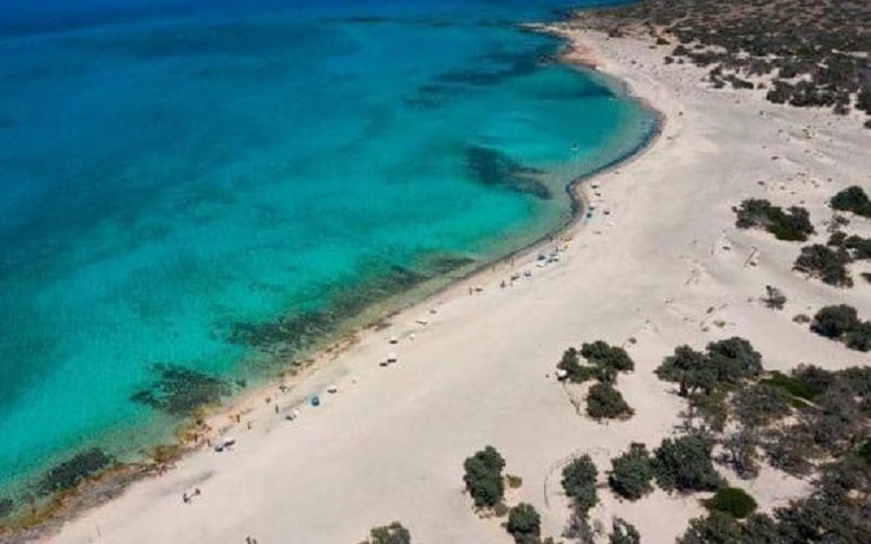 كورونا يكلف السياحة العالمية 320 مليون