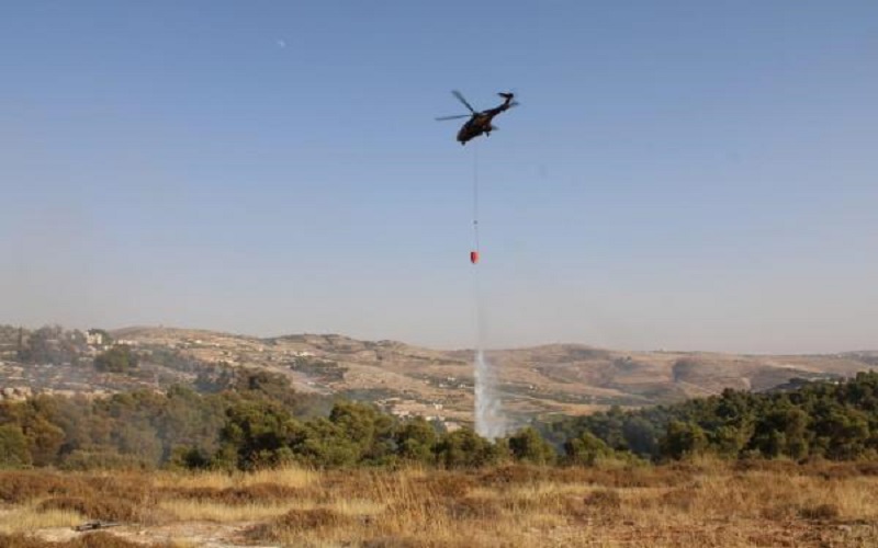حريق كبير بمنطقة حرجية في حسبان