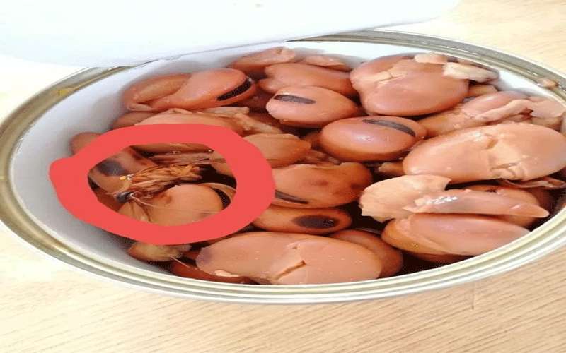 صرصور في علبة فول