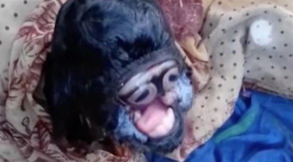 ماعز ولدت بعين واحدة تتحول لإله