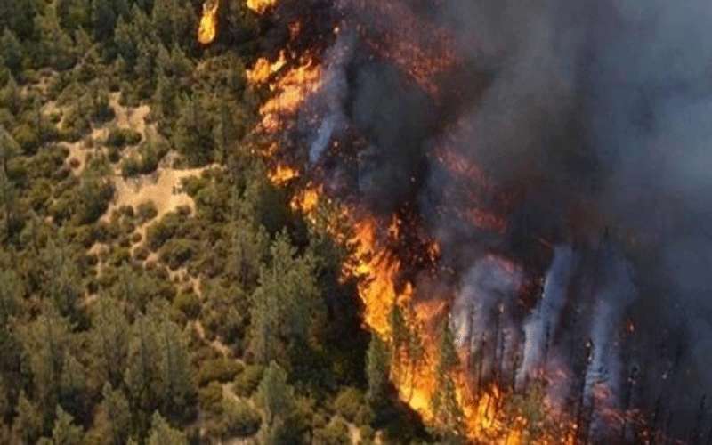 90 حريقا في الأردن خلال 24