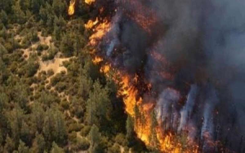 50 حريقا في الأردن خلال 24