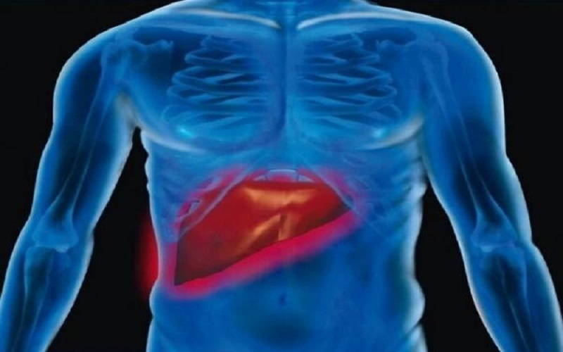 دهون الكبد .. أعراضها وأضرارها وطرق