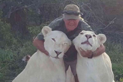 أسدان ينهشان رجلا في جنوب إفريقيا