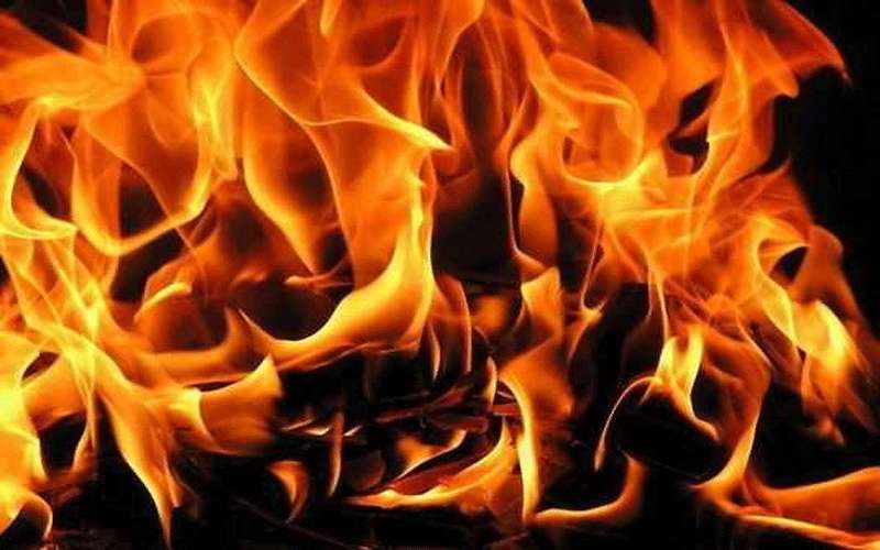 التفاصيل الكاملة لمقتل لبنانية في مادبا