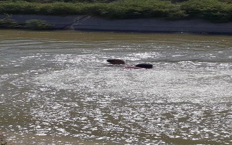 انقاذ طفل من الغرق في قناة