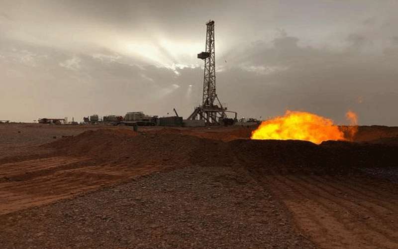 القدرة الانتاجية للريشة 19-20 مليون قدم