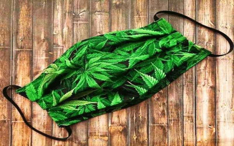 فرنسا تنتج كمامة نباتية قابلة للتحلل