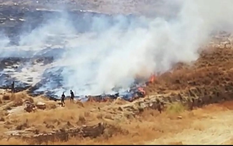 حريق كبير بمساحات زراعية في الكرك