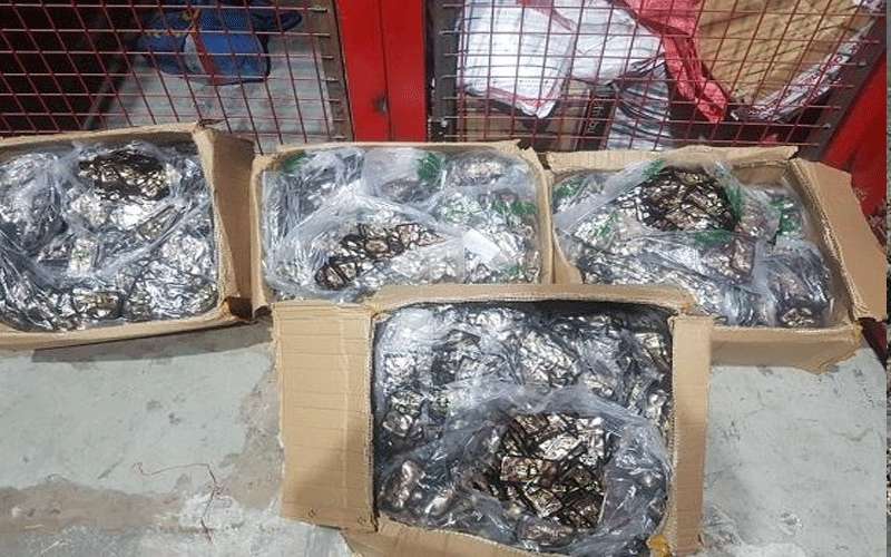 الجمارك: ضبط 35 كيلو مخدرات في