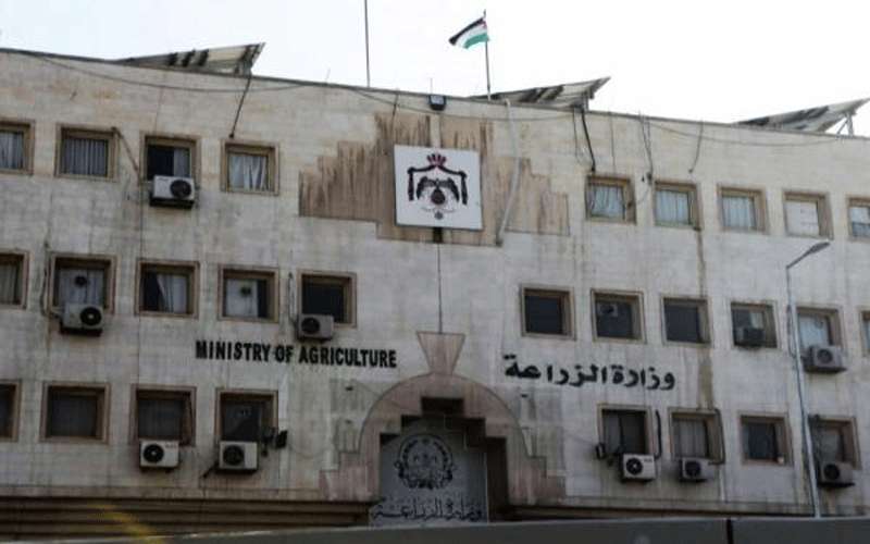 الزراعة تستلم 103 ملايين طن قمح