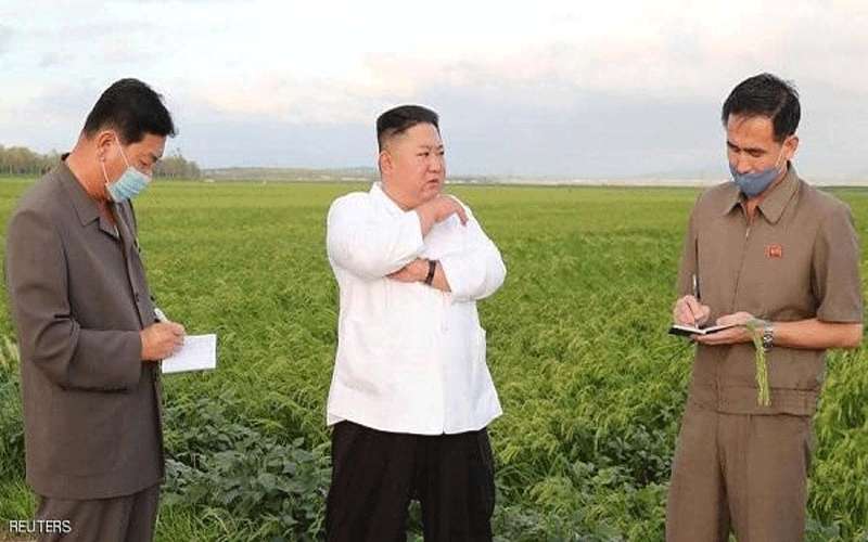 القتل .. لمنع انتشار كورونا في