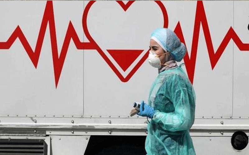 لا إصابات بكورونا بين معلمي الطفيلة