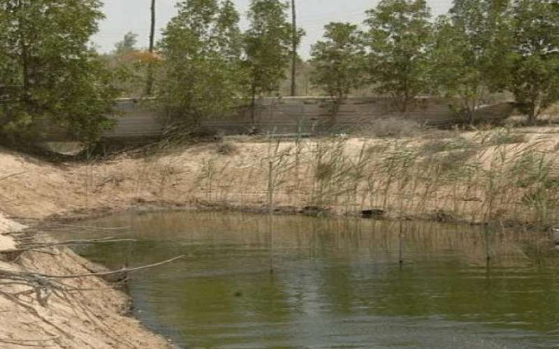 انتشال جثة خمسيني من بركة في