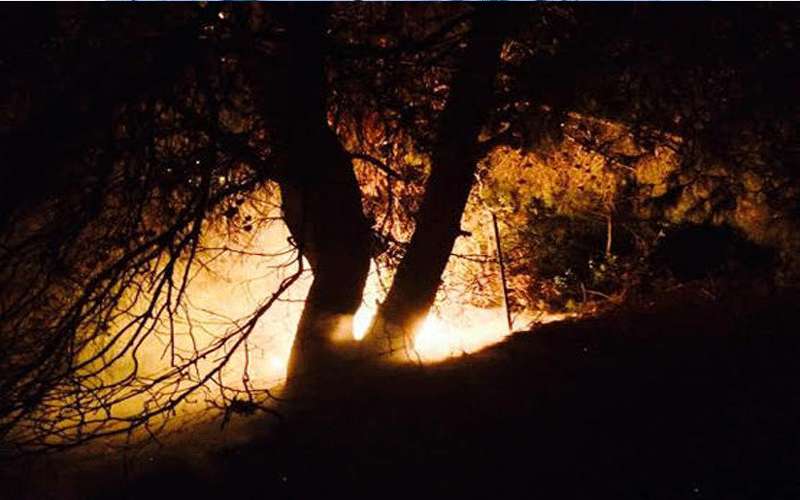 85 حريقا حرجيا في 24 ساعة