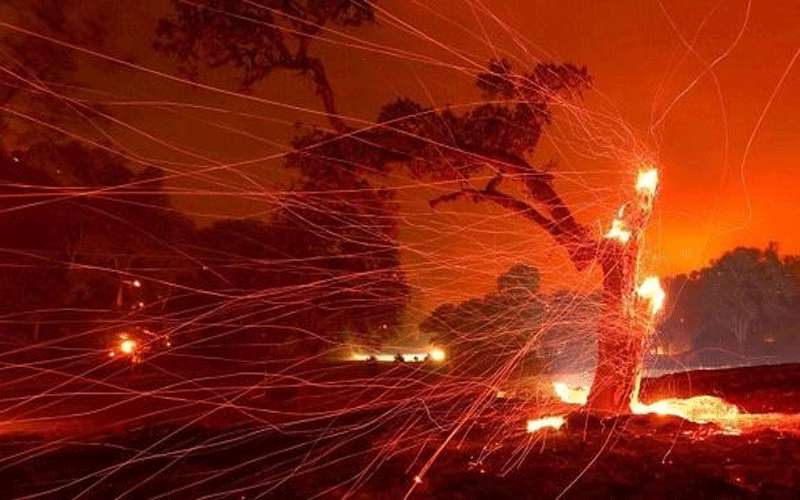 مساحة حرائق كاليفورنيا الأكبر منذ 33