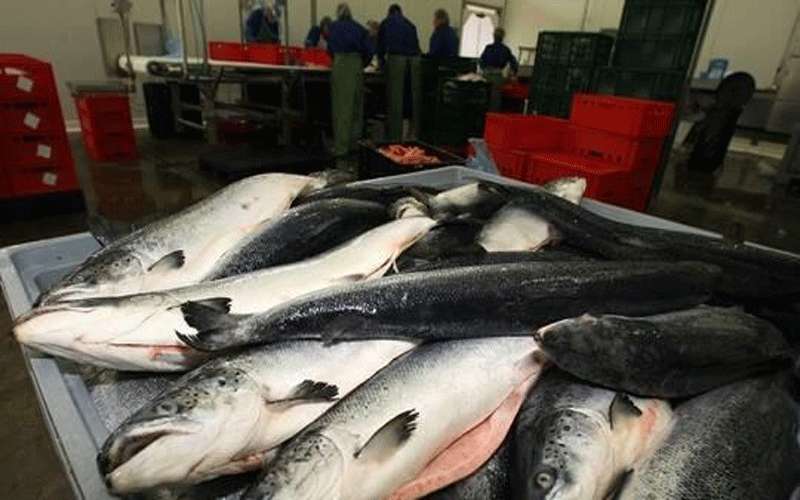 ماهي مدة بقاء كورونا حيا في