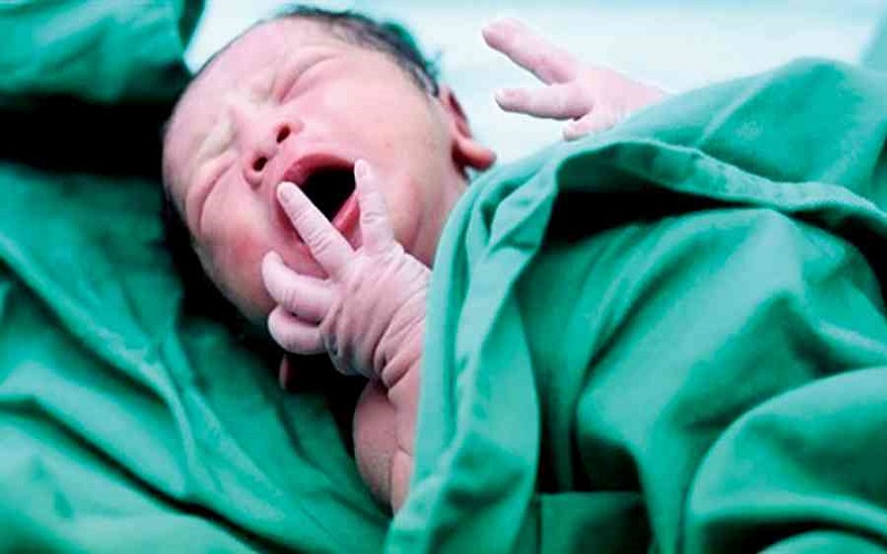 كيف أثر كورونا في معدلات المواليد