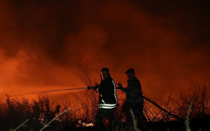 اخماد حريق اعشاب جافة واشجار حرجية