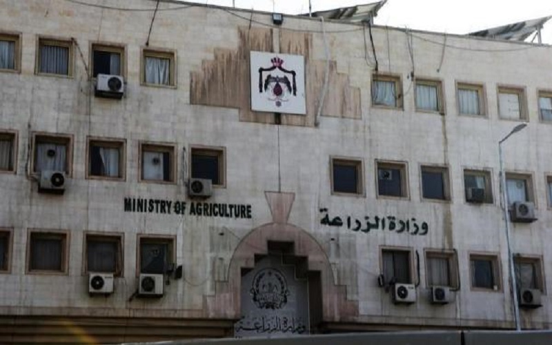 الزراعة توضح حول قرار فحص الدواجن