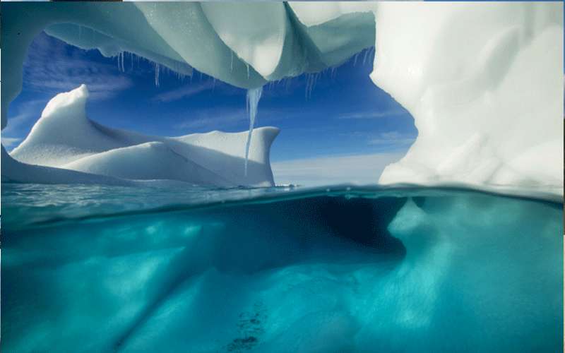 اختراق في أنتاركتيكا: اكتشاف مخلوقات غريبة