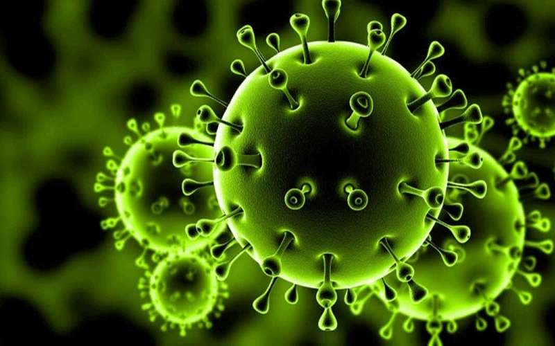 محافظ مادبا : تسجيل اصابتين جديدتين