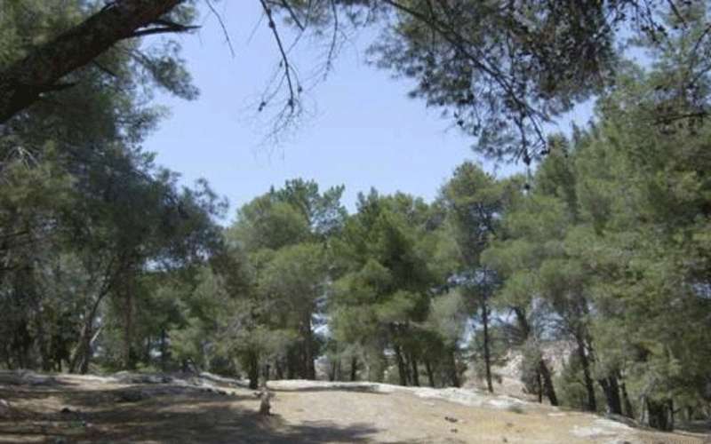 منطقة حرجية في اربد لعزل الحيوانات