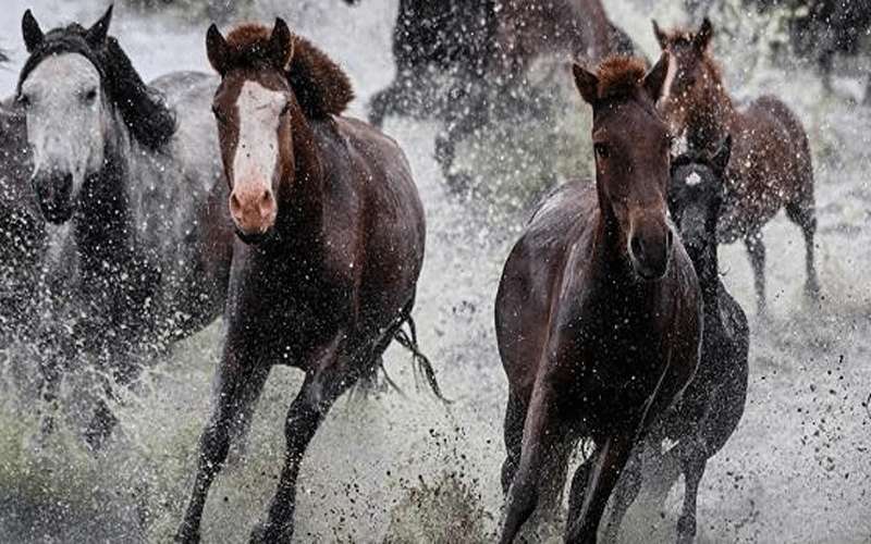 علماء الوراثة يحطمون أسطورة شائعة عن