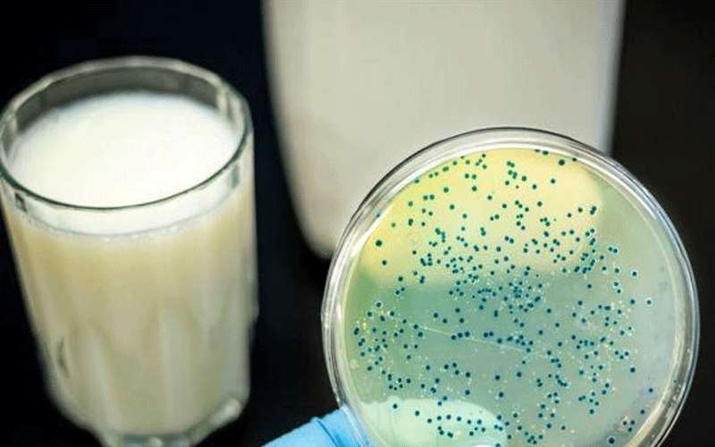 بكتيريا جديدة تجتاح الصين