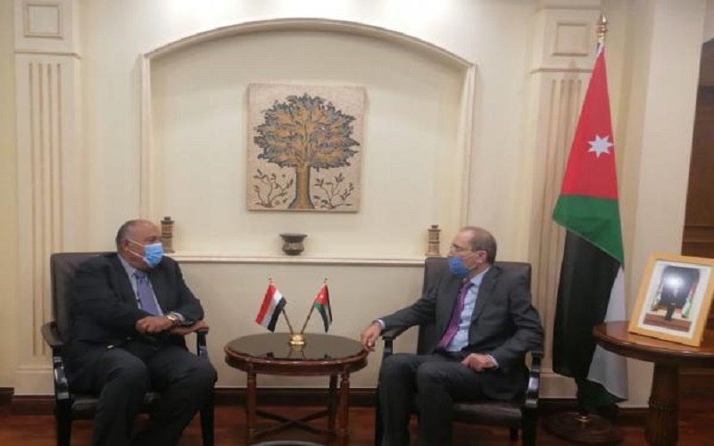 الصفدي وشكري يؤكدان مركزية القضية الفلسطينية