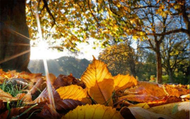 استمرار الطقس الخريفي المعتدل و الرطب