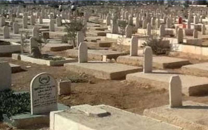 بلدية اربد تخصص جزءا من أرض