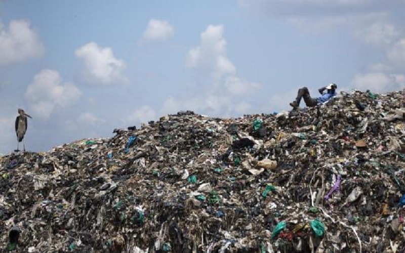 جمع 30 طنا من النفايات المتراكمة
