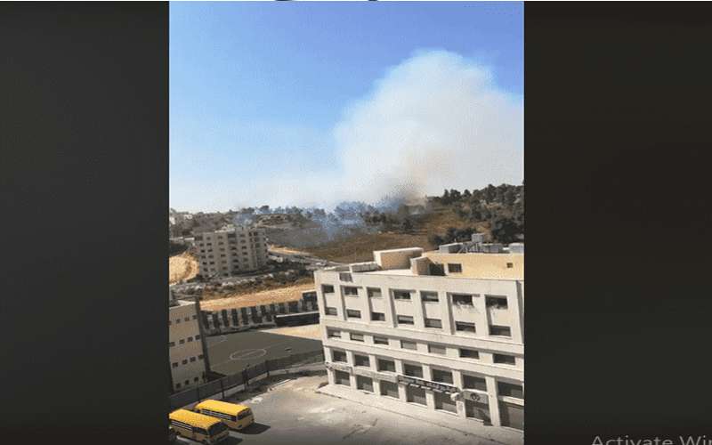 حريق بمنطقة حرجية بتلاع العلي